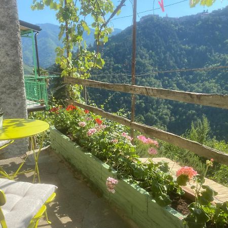 A Ca' Da Zia Villa Corte  Dış mekan fotoğraf