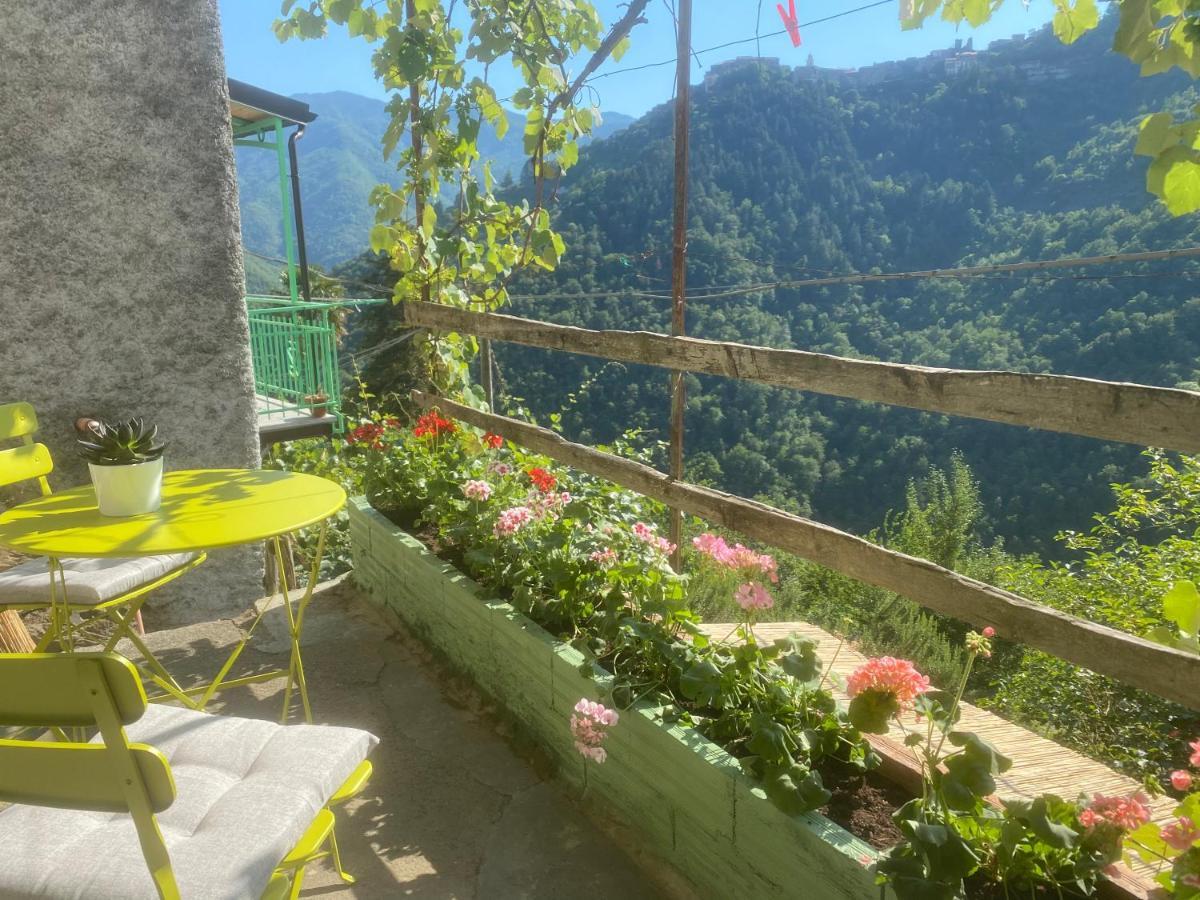 A Ca' Da Zia Villa Corte  Dış mekan fotoğraf
